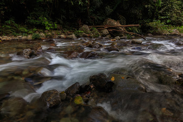 Nature landscape view of Deep forest clean river (image slightly long expo and motion blur)