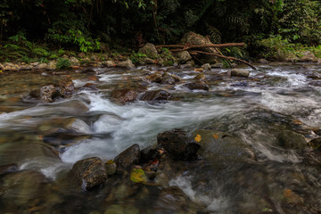 Nature landscape view of Deep forest clean river (image slightly long expo and motion blur)