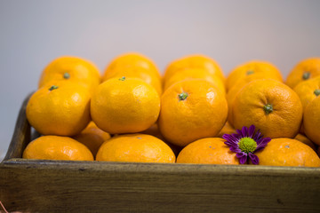 Orange fruits in tray wood on wooden background. korea citrus