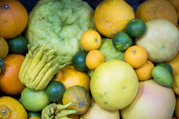 Various citrus fruits isolated. Yellow color fruits