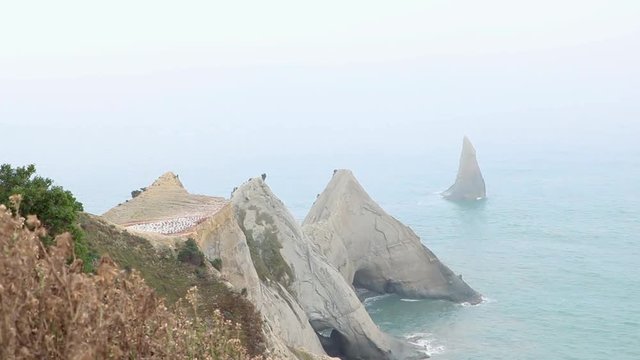 Jagged Cliffs of New Zealand Cape Kidnapper, with plateau Gannet colony and sharks tooth rock, storm coming in.