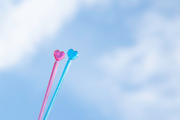 青空のきれいな日にお散歩デートをしている、キラキラかわいいお弁当用ピックのカップル