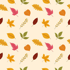 Seamless pattern of autumn leaves. Various veined leaves on white background.	