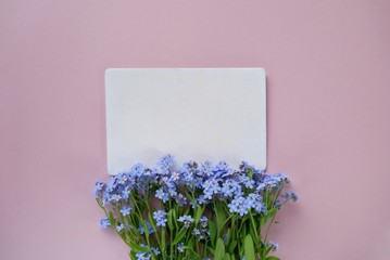 spring Flat lay.Flower card. forget-me-not flowers and white blank on a gently pink background.Mothers Day. International Women's Day.top view, copy space.