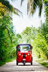 Gordijnen Rode tuk-tuk onder de palmbomen op de landweg © Soloviova Liudmyla