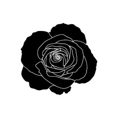 Vector rose. Black silhouette isolated on white.