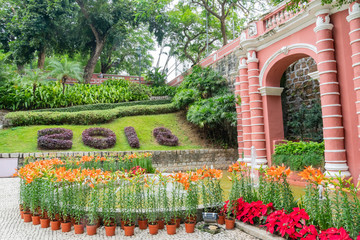 Montanha Russa Garden with lily and poinsettia blossom