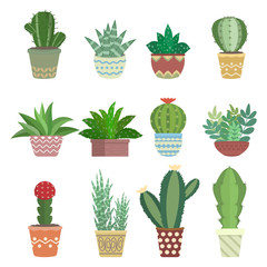 Cactus collectie set illustratie