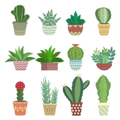 Fotobehang Cactus in pot Cactus collectie set illustratie