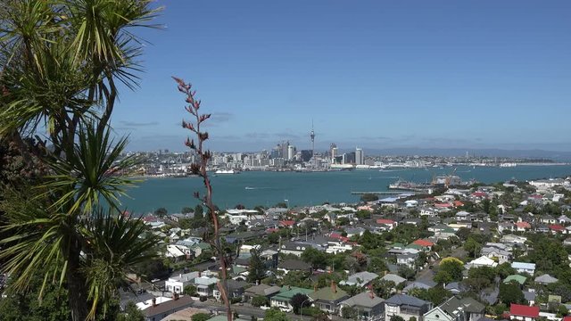 Auckland skyline and Devonport suburb, New Zealand