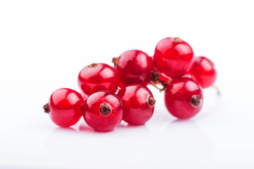 Red currant