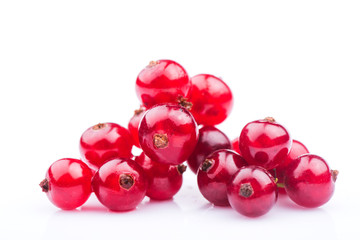 Red currant