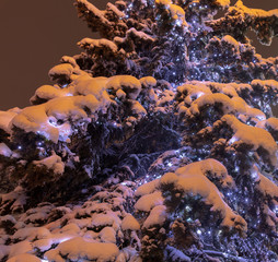 The lights are burning on the tree at night