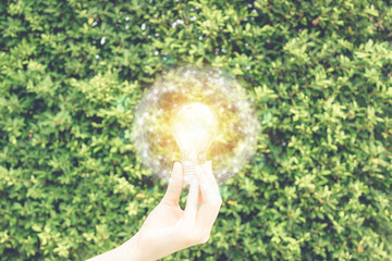 Hand holding the light bulb against the green leave wall wiht fake sunlight on wire globe frame in...