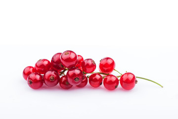Red currant