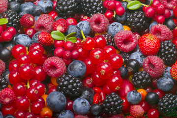 set of berries background