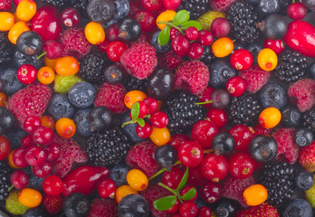 Fototapeta na wymiar set of berries background