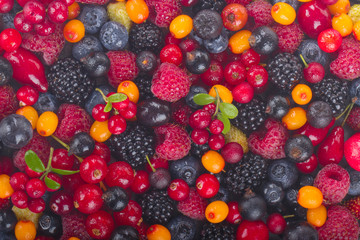 set of berries background