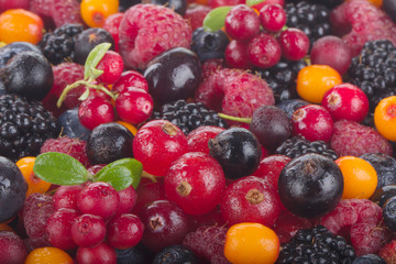 set of berries background