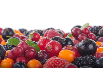 berries isolated on white background. banner