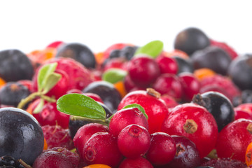 berries isolated on white background