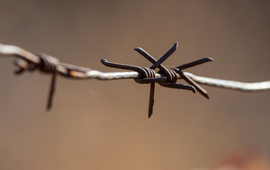 Barbed wire on nature as a background