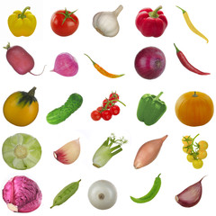 set of vegetables and spices isoalted on white background