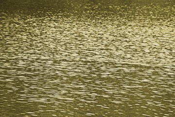 liquid gold background - water wave