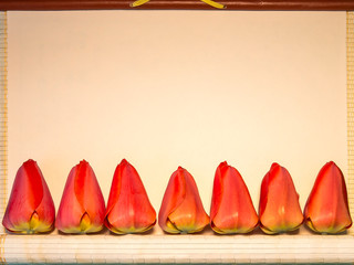 Red tulips laid out in a row on a poster for the inscription.