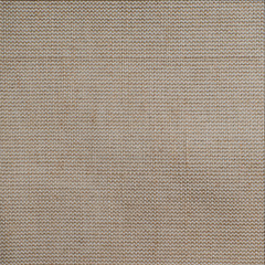 fragment of burlap, canvas