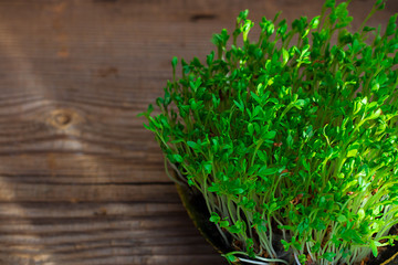 Fresh green watercress on textured old wooden background with copy space horizontal