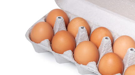 chicken eggs in the package