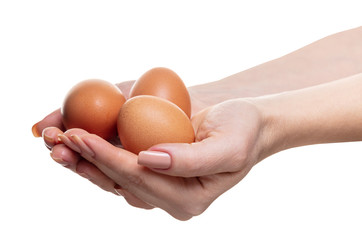 chicken eggs in female hands