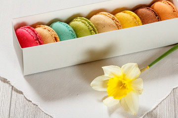 Sweet macarons cakes of different color in white cardboard box with fresh red tulip flower on silk napkin