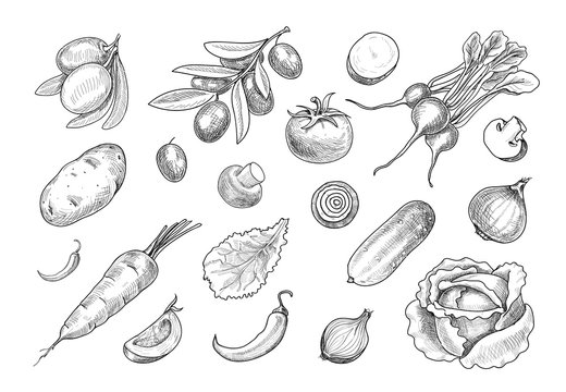 Hand drawn sketch various vegetables set