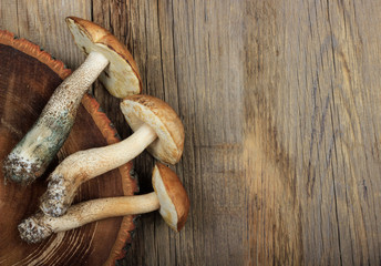 heap of Rough boletus on wooden background