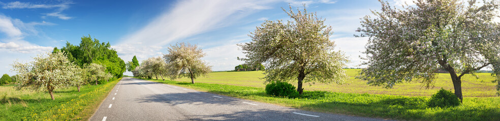 Fototapeta na wymiar Road panorama on sunny spring evening