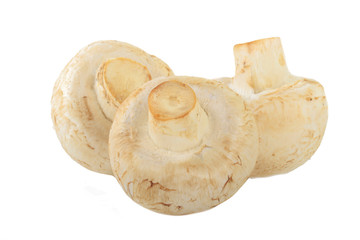 heap of  champignons isolated on white background