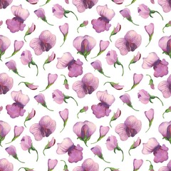 Watercolor floral pattern with sweet pea flowers. Flowers, leaves, pods and tendrils in a watercolour style.Elegant pattern for fashion prints for printing fabrics, paper, background, etc. - Illustrat