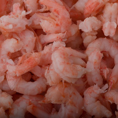 peeled cooked shrims background