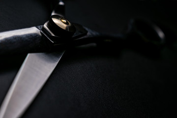 professional scissors on black background - obrazy, fototapety, plakaty
