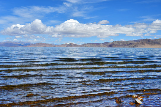 China, Tibet. High-mountain lake Tarok in summer in cloudy weather