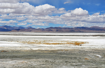 The highly saline lake Drangyer Tsaka in Tibet, China