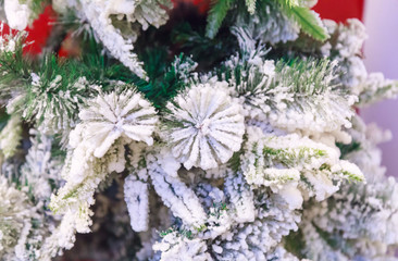 White snow covered green twigs on decorated snowy winter Christmas Tree in shopping mall Christmas Market. Special Occasions, Holidays, Festivals,  Decoration, New Year Celebration and Events concept.