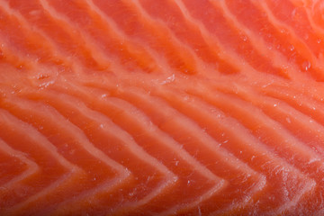 fresh salmon slice background