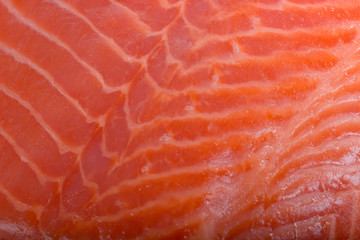 fresh salmon slice background