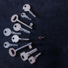  One lock and many keys. Concept of choice, variety of solutions.