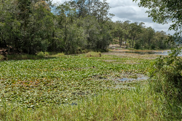 Enoggera Reservoir, Australien, 2019