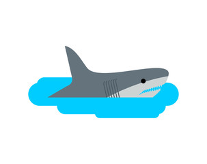 Shark in puddle. Marine predator in small plash