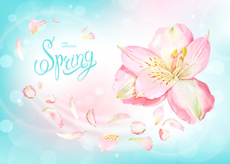 Spring collection background